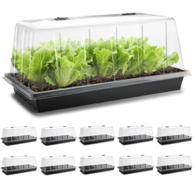 RooTrimmer 1020 tray with tall 7.3-inch dome for ample germination space.
