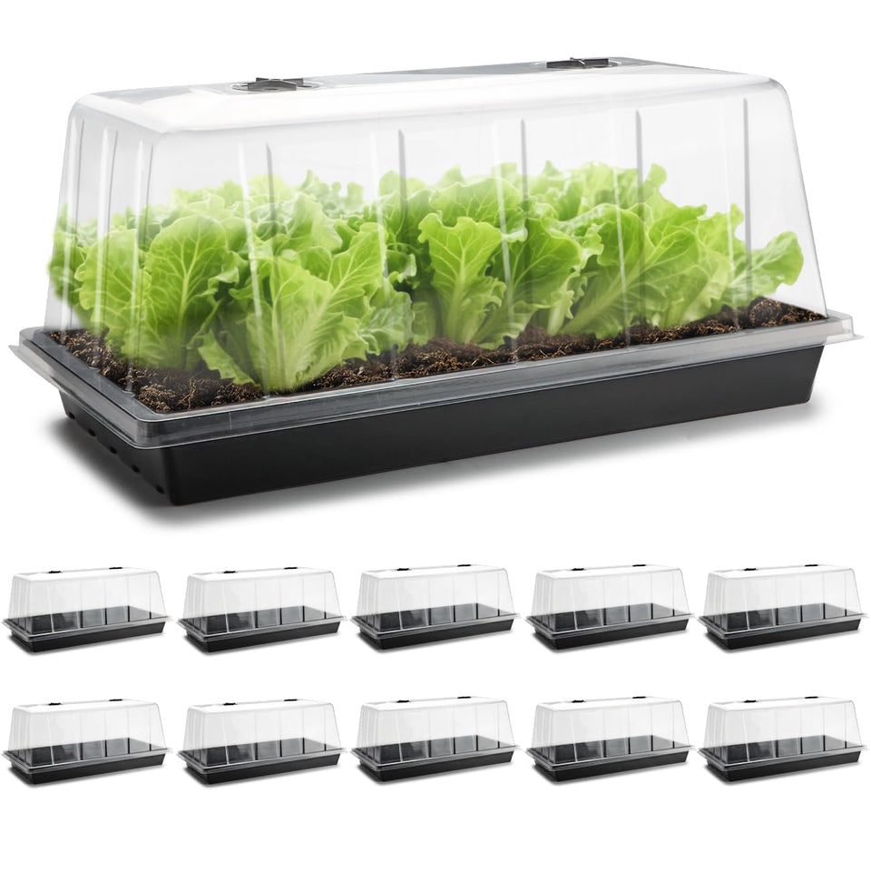 RooTrimmer 1020 tray with tall 7.3-inch dome for ample germination space.