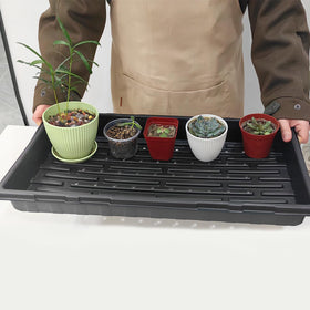 RooTrimmer 1020 seedling tray used in greenhouse settings for uniform moisture.