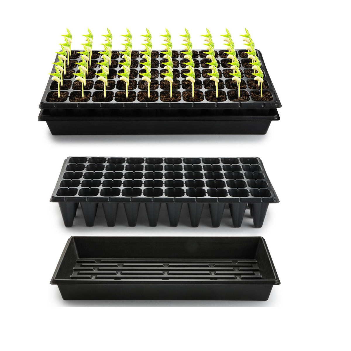 RooTrimmer 1020 tray base ready for easy watering and transplanting.