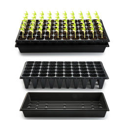 RooTrimmer 1020 tray base ready for easy watering and transplanting.