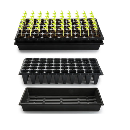 RooTrimmer 1020 tray base ready for easy watering and transplanting.