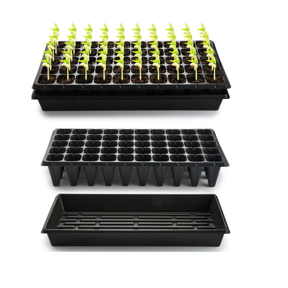 RooTrimmer 1020 tray base ready for easy watering and transplanting.