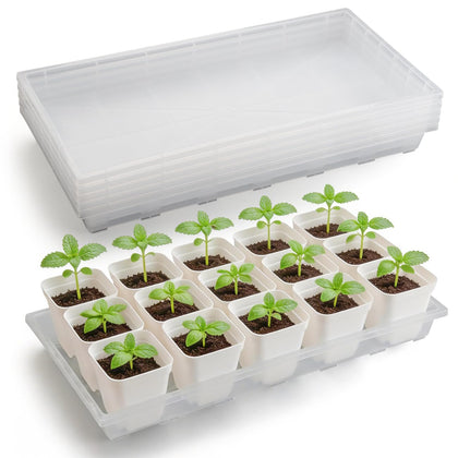 RooTrimmer 1020 seed tray clear front view for organized seed starting
