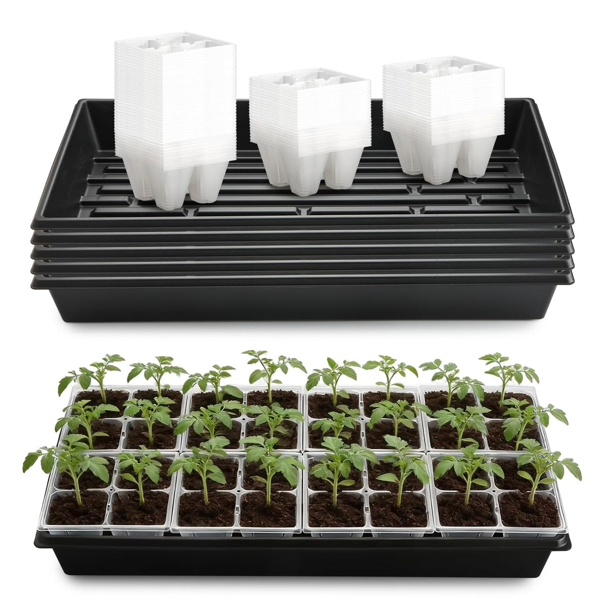 RooTrimmer 1020 trays with a heavy-duty base for durable seedling support.