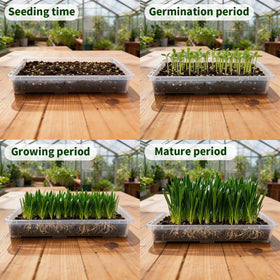 RooTrimmer 1020 trays stackable design saves space between crops