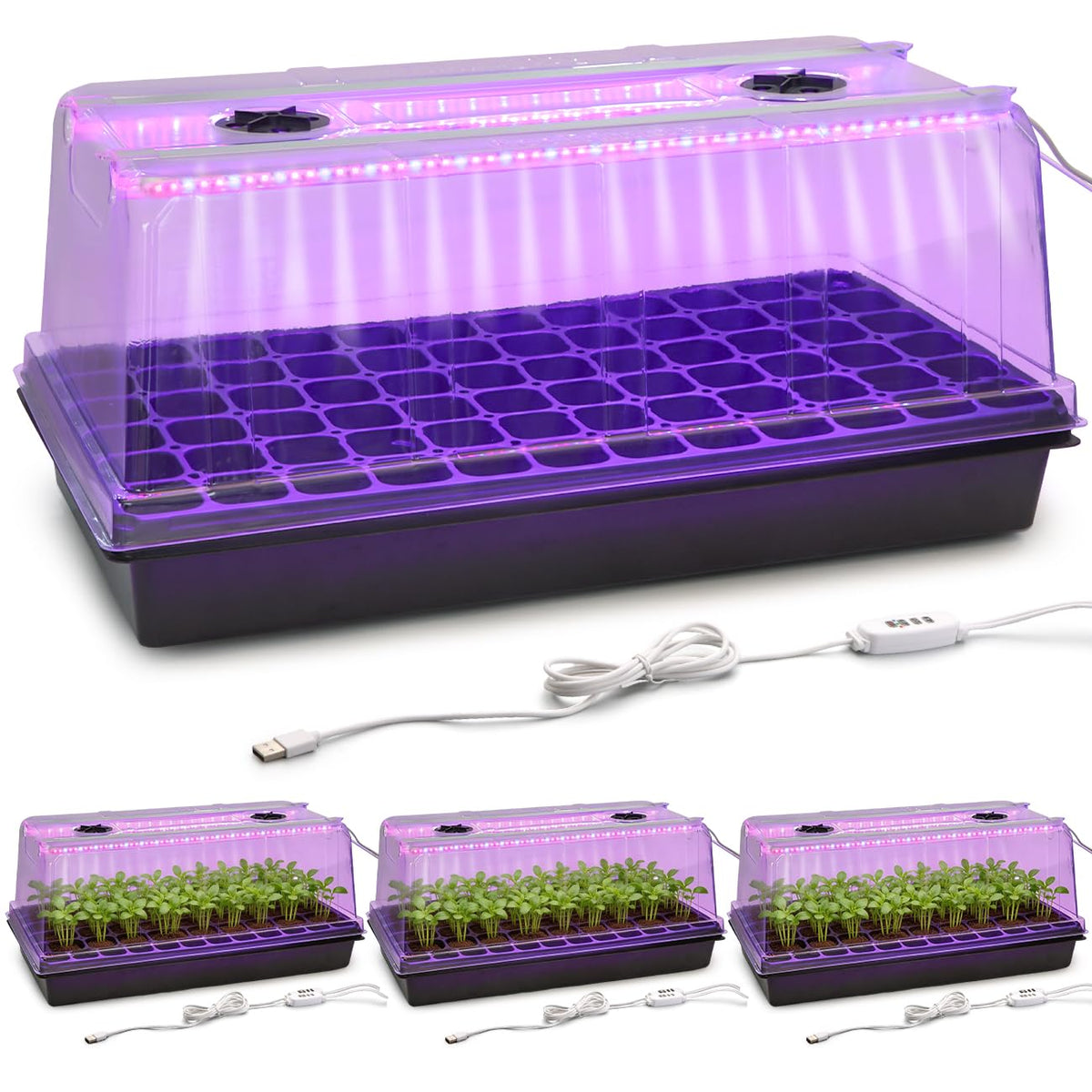 RooTrimmer 1020 trays with grow light dome for reliable seed germination