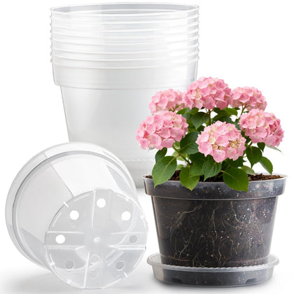 RooTrimmer 10-inch clear nursery pot with saucer for easy root growth monitoring