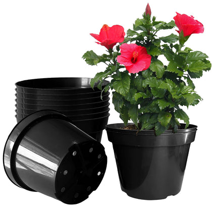 RooTrimmer 10 inch nursery pot top view ideal for seedling setup