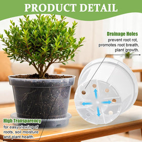 RooTrimmer 10-inch pot with eight drainage holes prevents overwatering