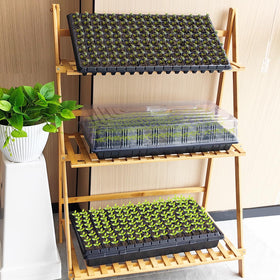 RooTrimmer 10-pack helps organized seed starting for busy gardeners.