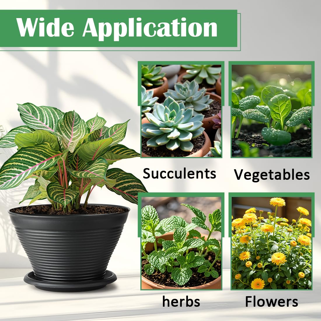 RooTrimmer pots housing varied plants for home greenery