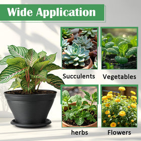 RooTrimmer pots housing varied plants for home greenery