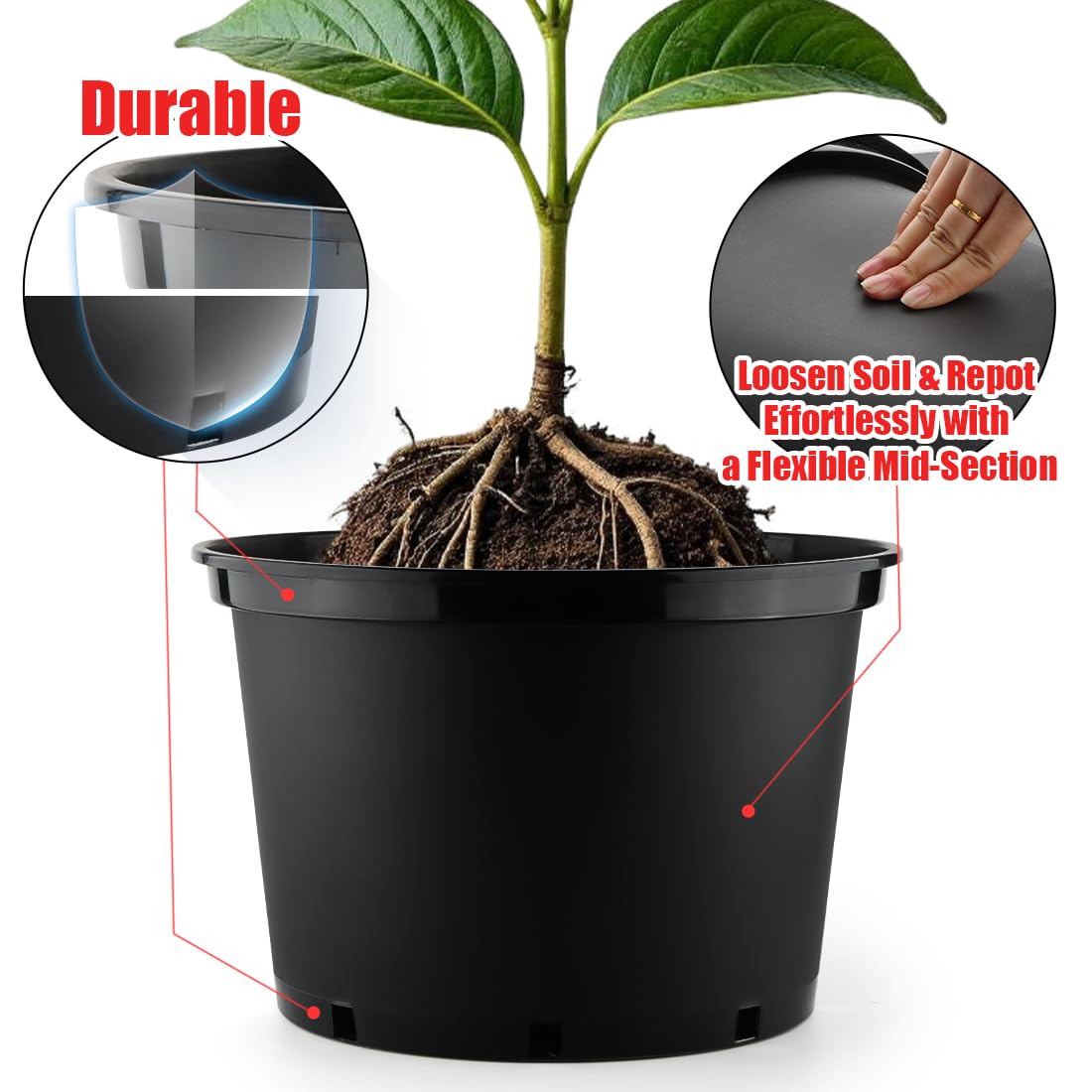 RooTrimmer 15-inch nursery pot ideal for bigger specimens on patios