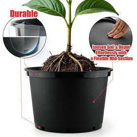 RooTrimmer 15-inch nursery pot ideal for bigger specimens on patios