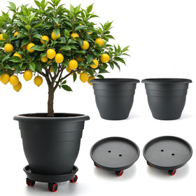 RooTrimmer 16-inch planter set with wheels for easy relocation.