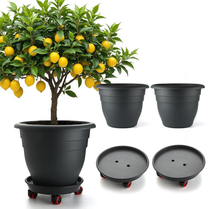 RooTrimmer 16-inch planter set with wheels for easy relocation.