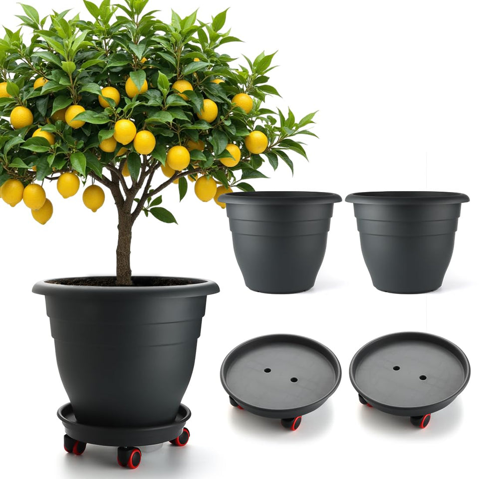RooTrimmer 16-inch planter set with wheels for easy relocation.