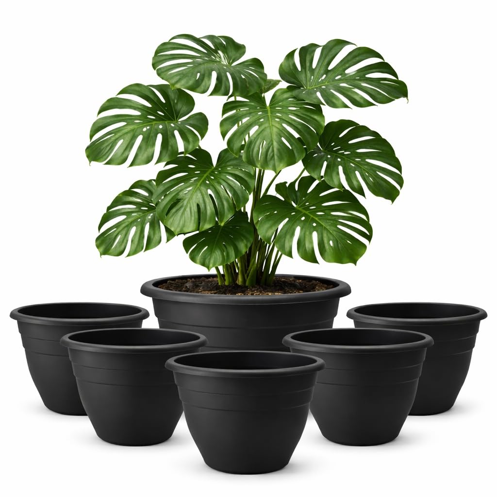 RooTrimmer 16-Inch plant pot with drainage holes for healthy indoor growth.