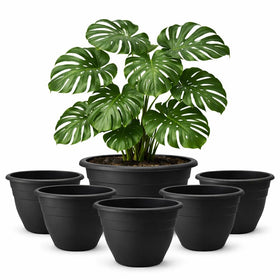 RooTrimmer 16-Inch plant pot with drainage holes for healthy indoor growth.