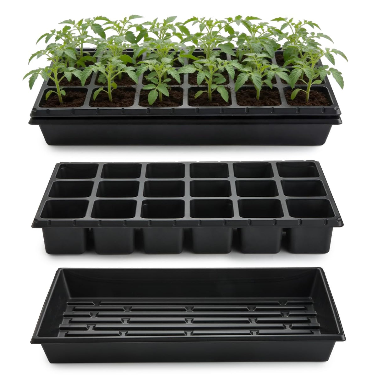 RooTrimmer 18-cell seedling tray shows organized planting with individual compartments