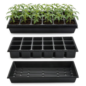 RooTrimmer 18-cell seedling tray shows organized planting with individual compartments
