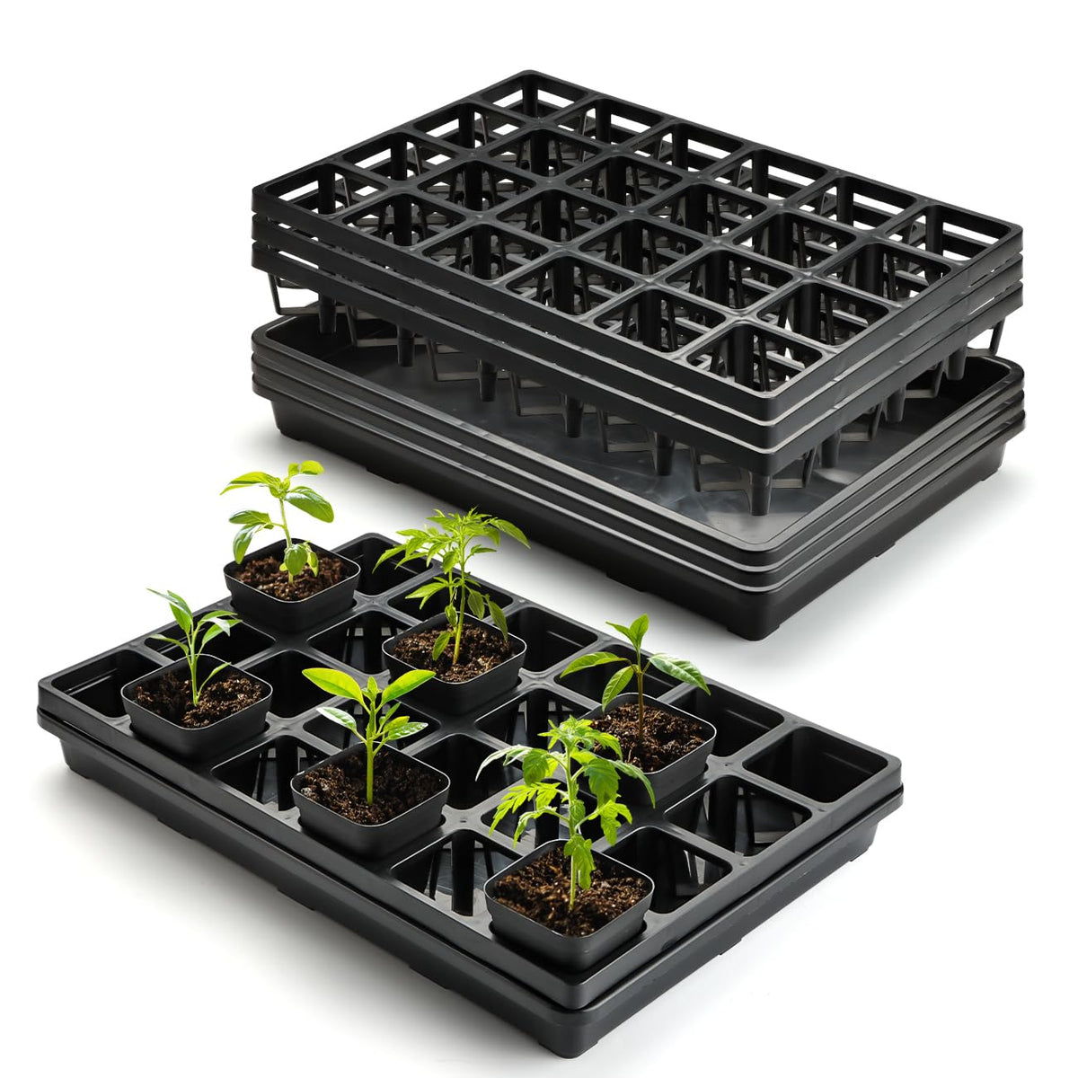 RooTrimmer 24-cell seedling pot tray, ideal for indoor germination.