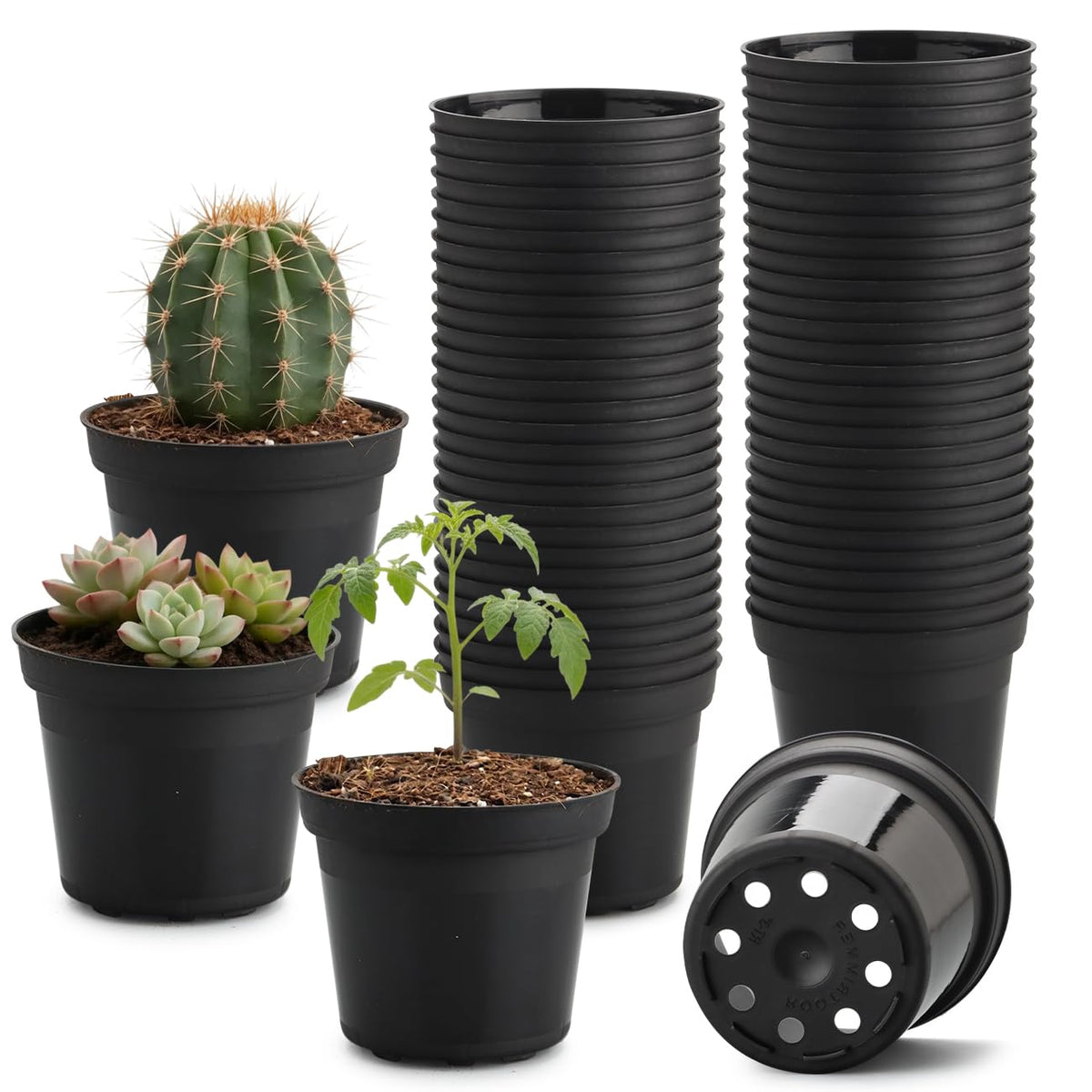 RooTrimmer 3-Inch pot with drainage and raised base for seedlings