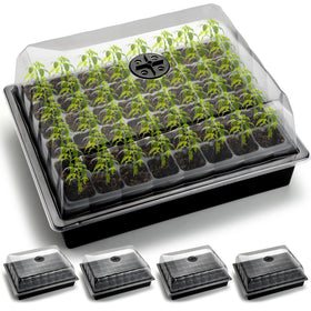 RooTrimmer 4-inch humidity dome close-up showing condensation for seedling moisture control