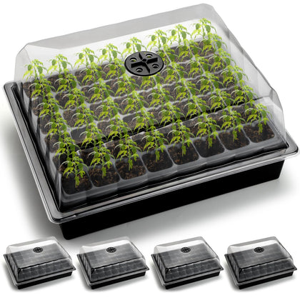 RooTrimmer 4-inch humidity dome close-up showing condensation for seedling moisture control