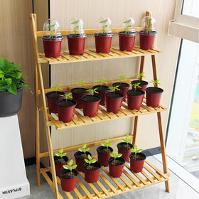 RooTrimmer 4-inch system suits succulents and small herbs.
