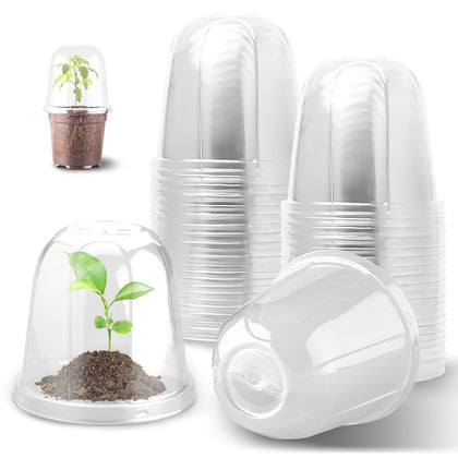 RooTrimmer 6-Inch humidity dome — clear view for easy seedling monitoring