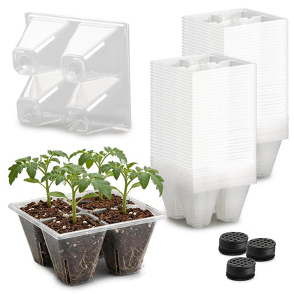 RooTrimmer 80-pack 4-cell seed tray in clear plastic for easy seed observation