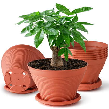 RooTrimmer 8 inch pot top view red for stylish indoor planting