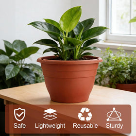 RooTrimmer BPA-free durable plastic close-up