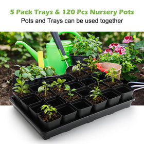 RooTrimmer BPA-free plastic pots safe for plants.