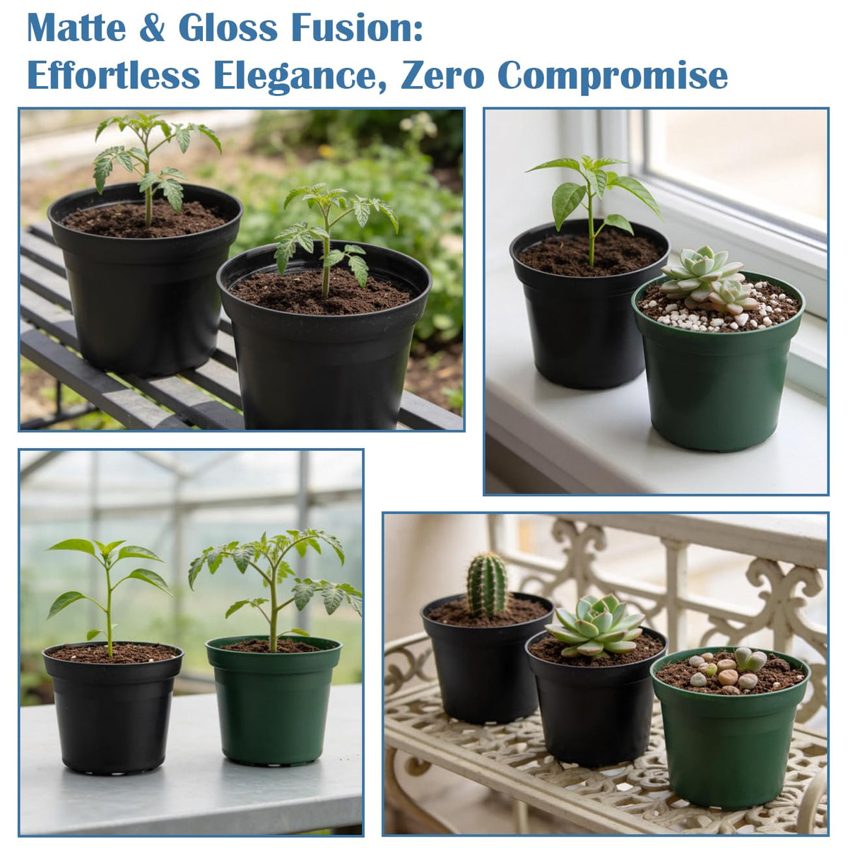 RooTrimmer 50-pack bulk packaging for seedling growth