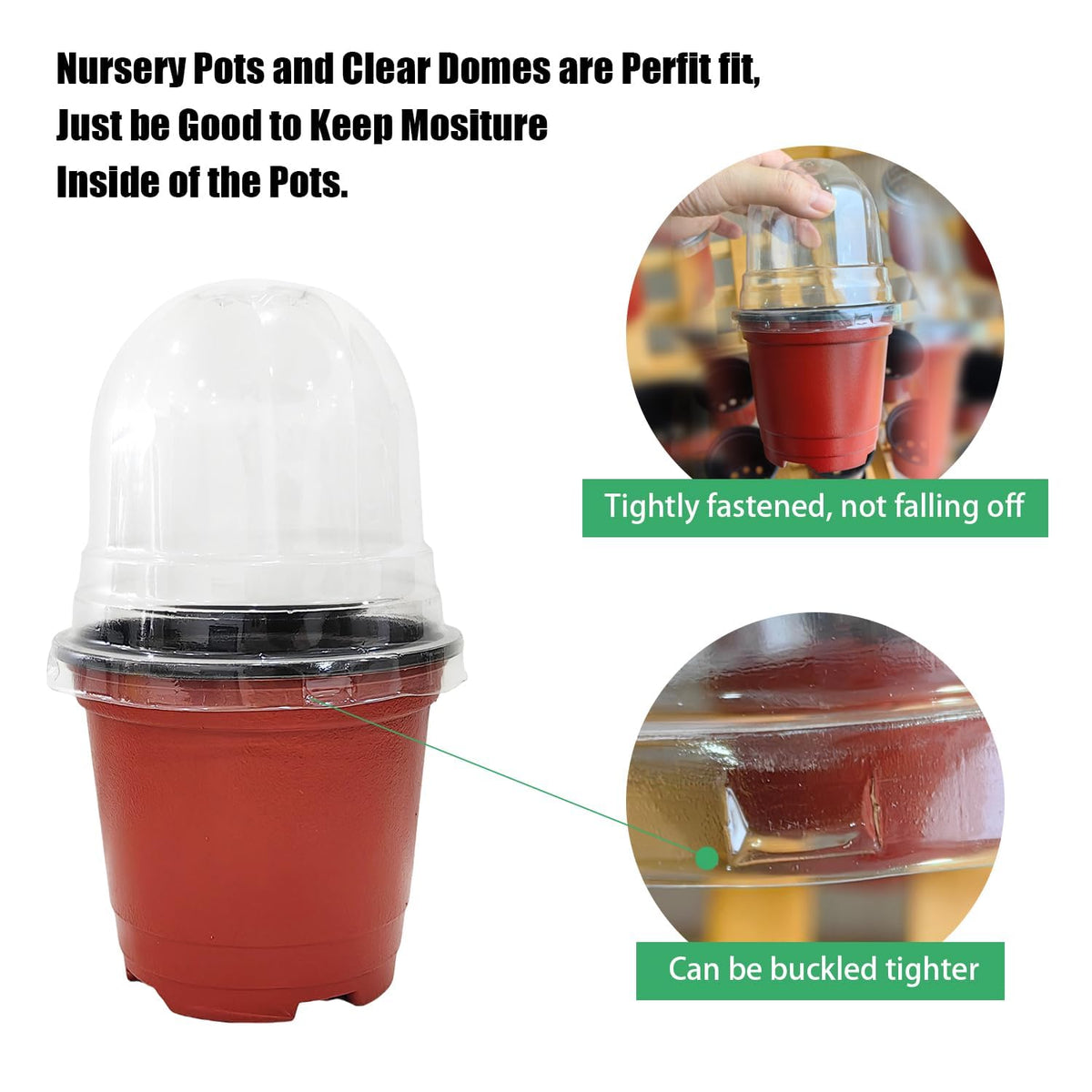 RooTrimmer clear humidity dome, reusable and moisture-friendly.