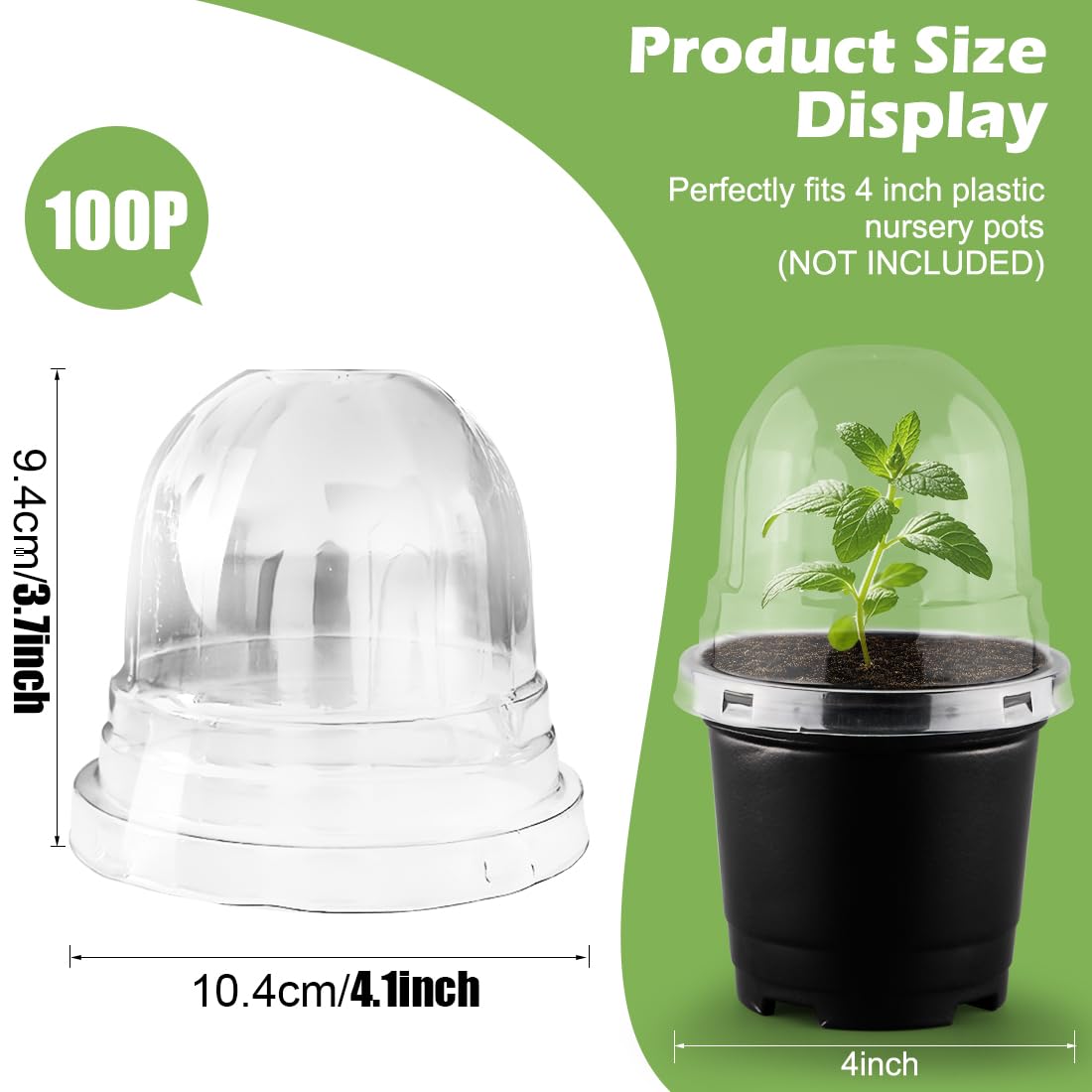 RooTrimmer clear dome allows light transmission for reliable germination