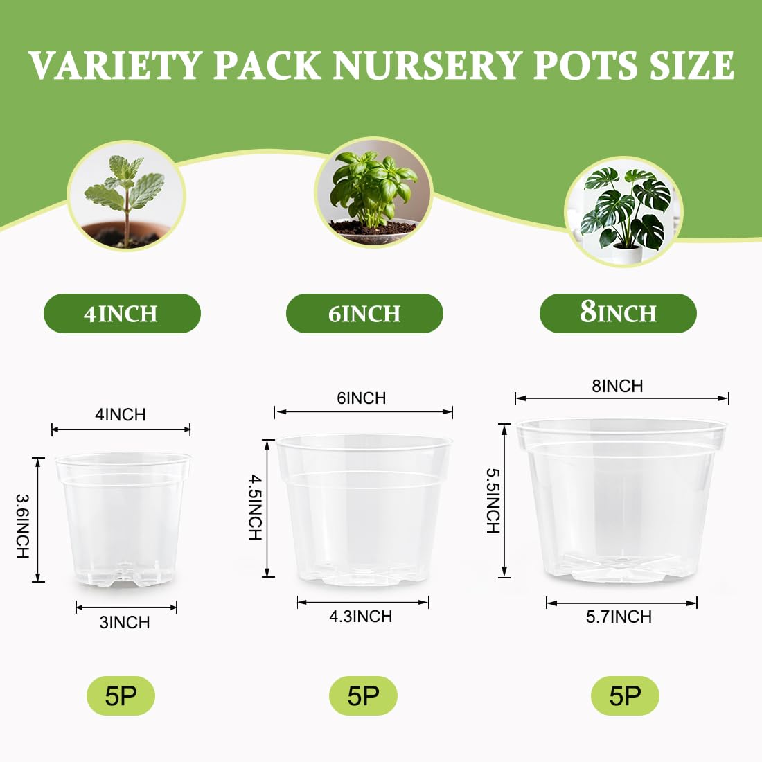 RooTrimmer clear 4-inch pot with drainage holes for better water control.