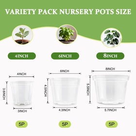 RooTrimmer clear 4-inch pot with drainage holes for better water control.
