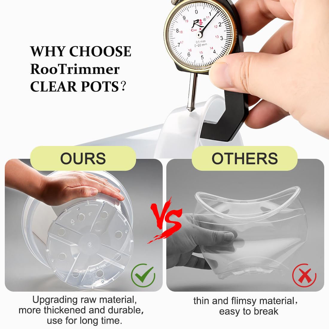 RooTrimmer 6-inch clear pot with drainage holes supports root health.
