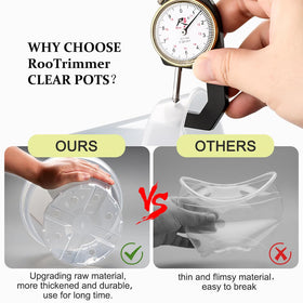 RooTrimmer 6-inch clear pot with drainage holes supports root health.