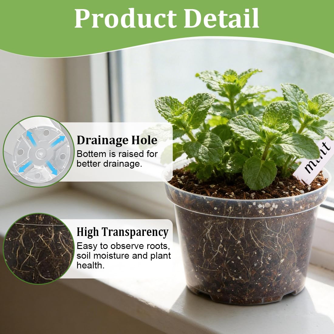 RooTrimmer 6-inch clear pot top view helps track root growth.