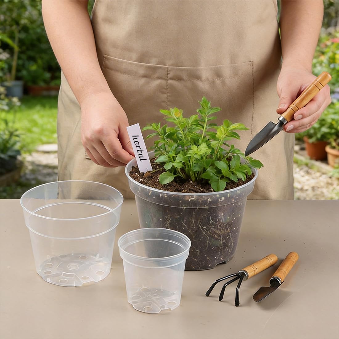 RooTrimmer 8-inch clear pot top view for moisture and growth awareness.