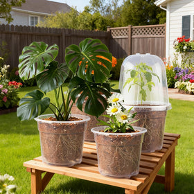 RooTrimmer clear nursery pots for visible root development during seedlings.