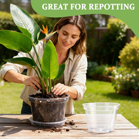 RooTrimmer clear nursery pots for indoor and outdoor planting setups