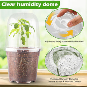 RooTrimmer clear pot with drainage holes enables easy water control and healthy roots.
