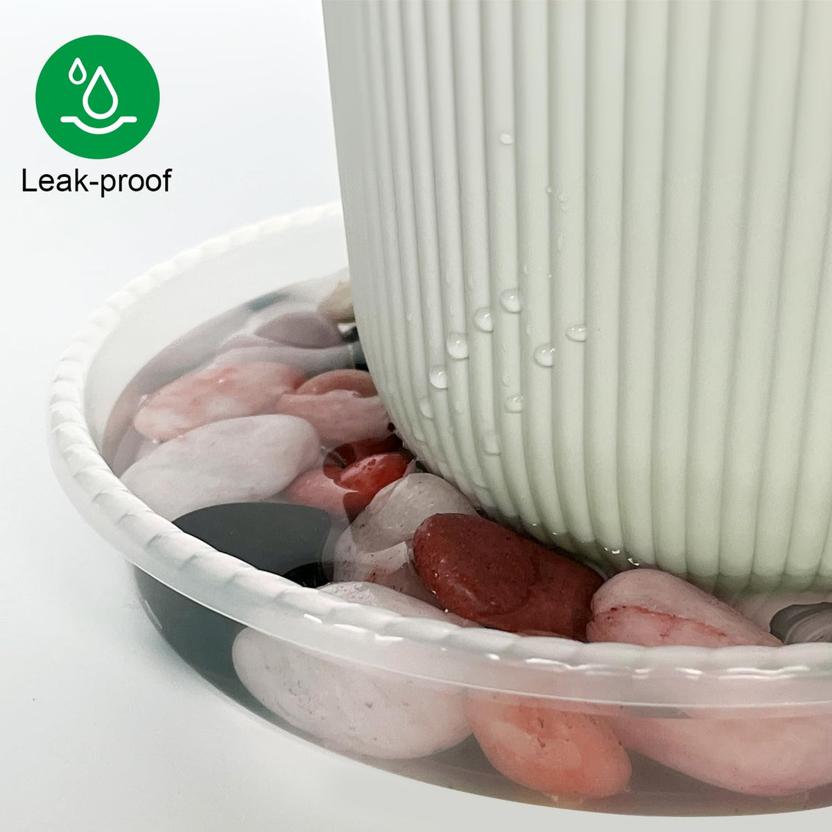 RooTrimmer clear water-level view saucer helps monitor moisture