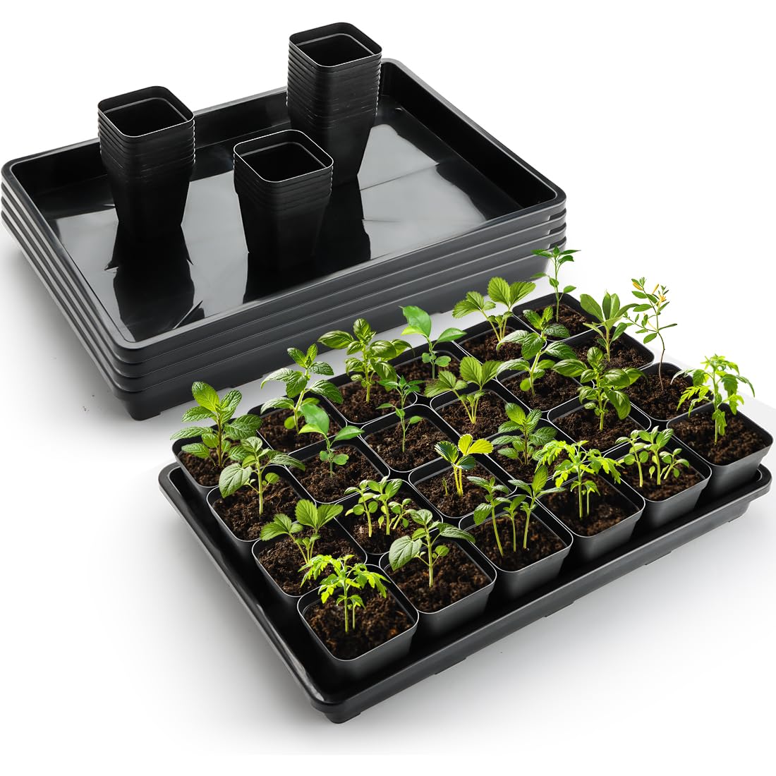 RooTrimmer compact carrying trays simplify plant transport.